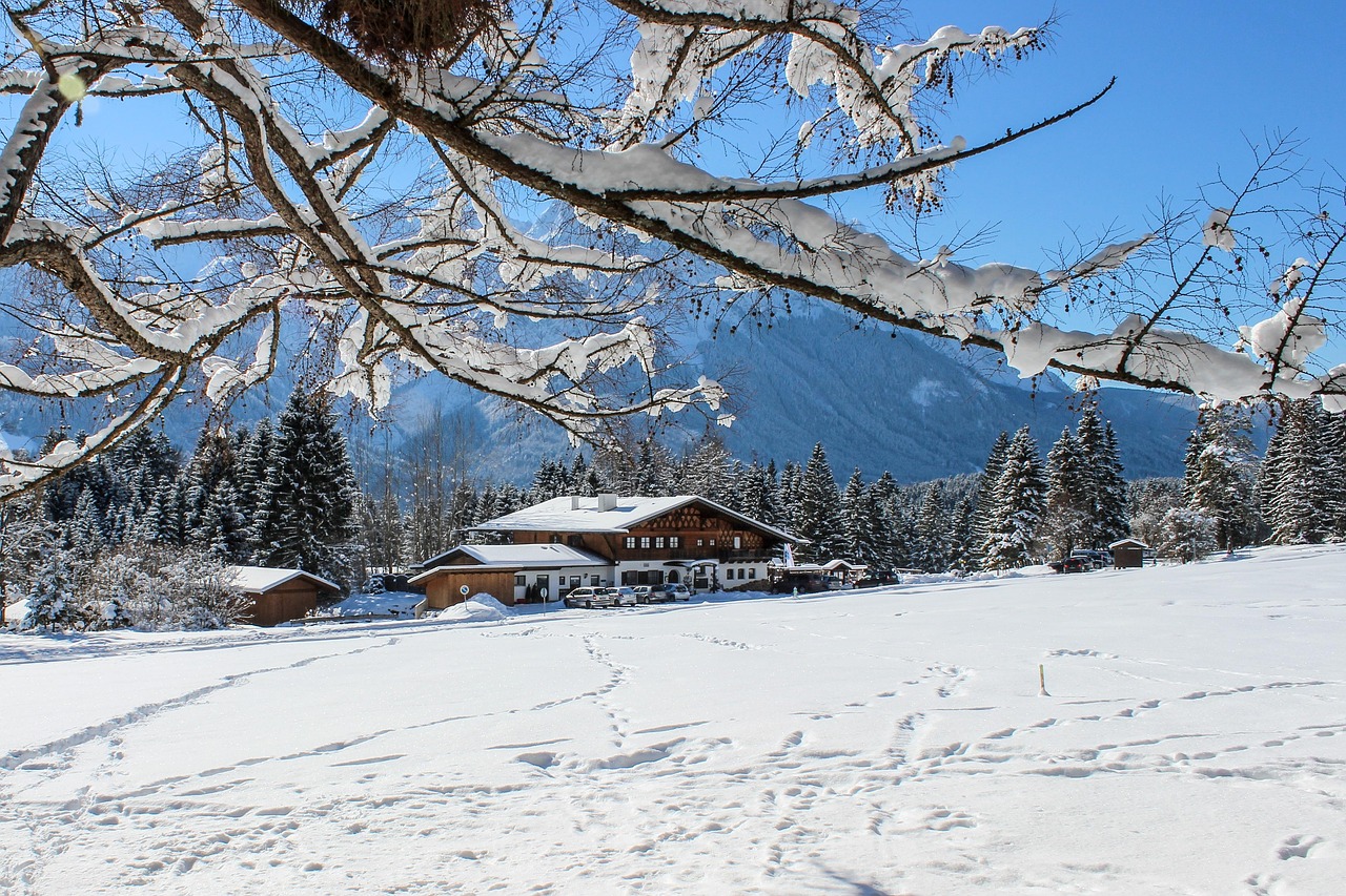 東北凜冬之美，雪冷空氣的獨特體驗